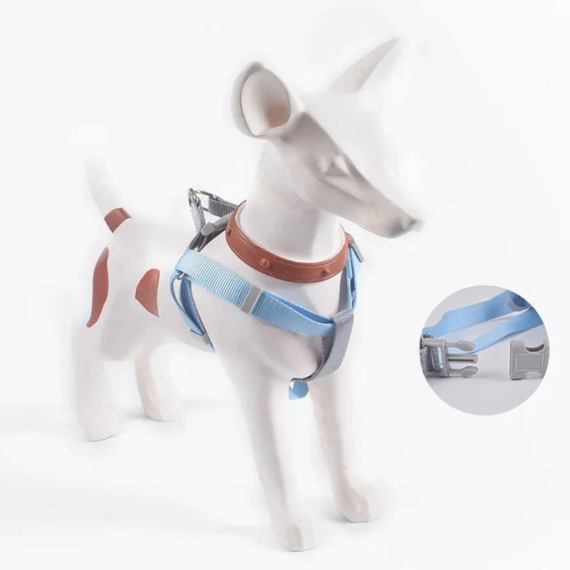 https://cdn.shopify.com/s/files/1/0647/9170/7830/files/harnais-ajustable-pour-chihuahua-8855691.webp?v=1777924698