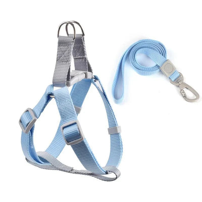 https://cdn.shopify.com/s/files/1/0647/9170/7830/files/harnais-ajustable-pour-chihuahua-5738578.webp?v=1777924698