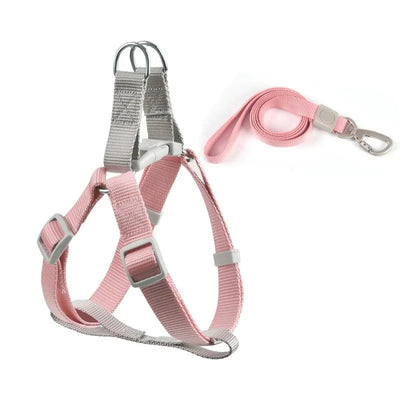 https://cdn.shopify.com/s/files/1/0647/9170/7830/files/harnais-ajustable-pour-chihuahua-7082788.webp?v=1777924699