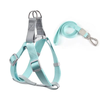 https://cdn.shopify.com/s/files/1/0647/9170/7830/files/harnais-ajustable-pour-chihuahua-7217336.webp?v=1777924698