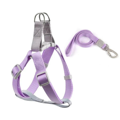 https://cdn.shopify.com/s/files/1/0647/9170/7830/files/harnais-ajustable-pour-chihuahua-7610116.webp?v=1777924699