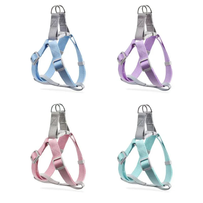 https://cdn.shopify.com/s/files/1/0647/9170/7830/files/harnais-ajustable-pour-chihuahua-8855691.webp?v=1777924698