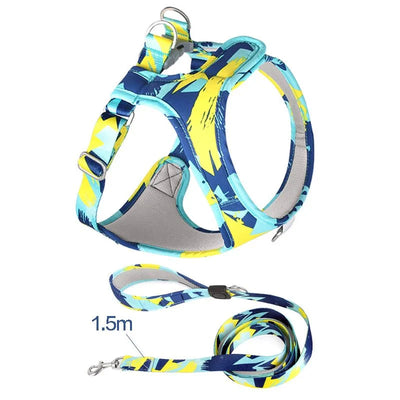 https://cdn.shopify.com/s/files/1/0647/9170/7830/files/harnais-ajustable-pour-chiot-6710538.webp?v=1777925594