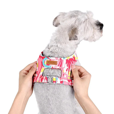 https://cdn.shopify.com/s/files/1/0647/9170/7830/files/harnais-ajustable-pour-chiot-9481849.webp?v=1777925594