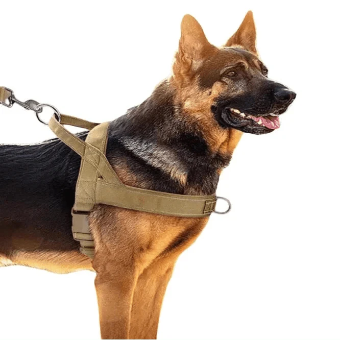 https://cdn.shopify.com/s/files/1/0647/9170/7830/files/harnais-anti-traction-agissant-sur-poitrail-du-chien-7104786.webp?v=1777923612