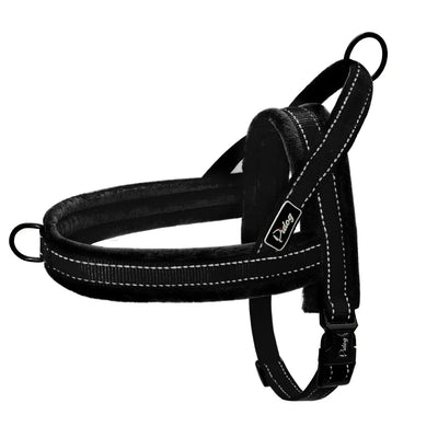 https://cdn.shopify.com/s/files/1/0647/9170/7830/files/harnais-anti-traction-chien-education-2977220.webp?v=1777923618