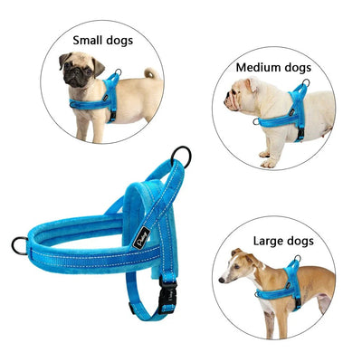 https://cdn.shopify.com/s/files/1/0647/9170/7830/files/harnais-anti-traction-chien-education-7160435.webp?v=1777923616