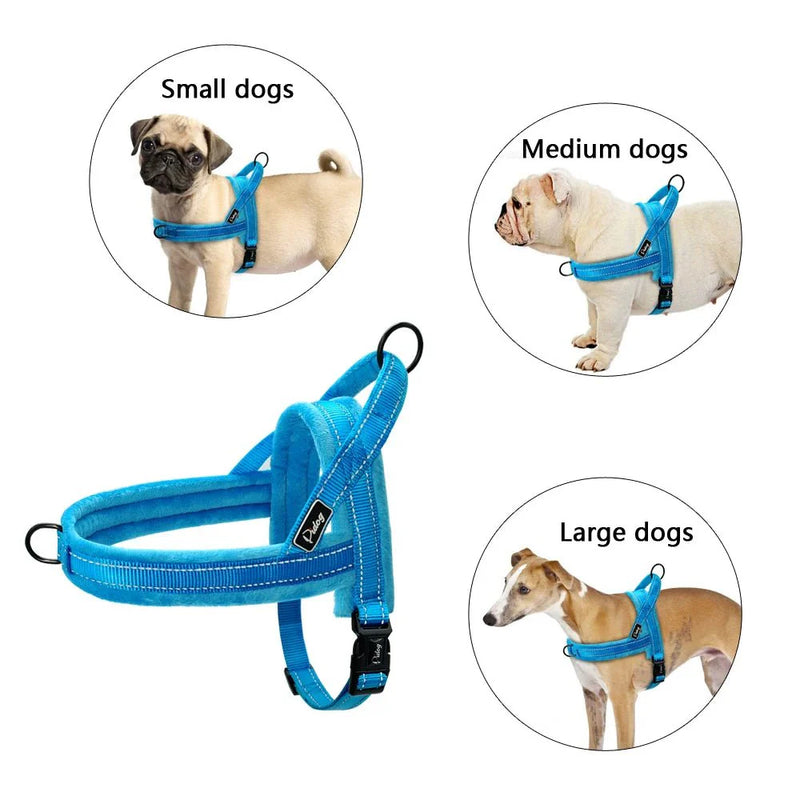 https://cdn.shopify.com/s/files/1/0647/9170/7830/files/harnais-anti-traction-chien-education-2930266.webp?v=1777923616