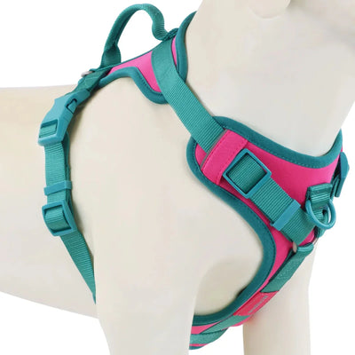 https://cdn.shopify.com/s/files/1/0647/9170/7830/files/harnais-anti-traction-chien-qui-tire-3362670.webp?v=1777923614