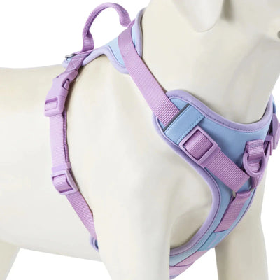 https://cdn.shopify.com/s/files/1/0647/9170/7830/files/harnais-anti-traction-chien-qui-tire-8498878.webp?v=1777923613