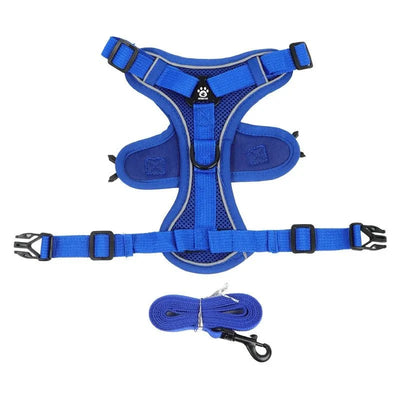 https://cdn.shopify.com/s/files/1/0647/9170/7830/files/harnais-anti-traction-petit-chien-4397637.webp?v=1777923433