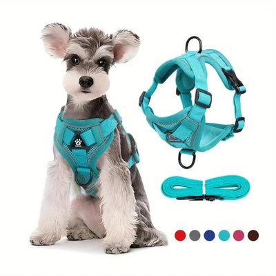 https://cdn.shopify.com/s/files/1/0647/9170/7830/files/harnais-anti-traction-petit-chien-6988565.webp?v=1777923432