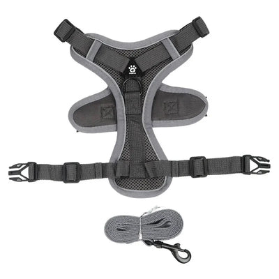 https://cdn.shopify.com/s/files/1/0647/9170/7830/files/harnais-anti-traction-petit-chien-7137747.webp?v=1777923434