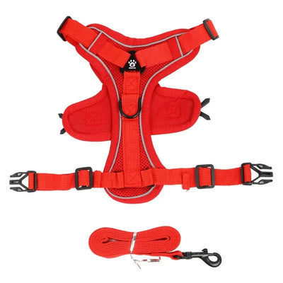 https://cdn.shopify.com/s/files/1/0647/9170/7830/files/harnais-anti-traction-petit-chien-9308081.webp?v=1777923433