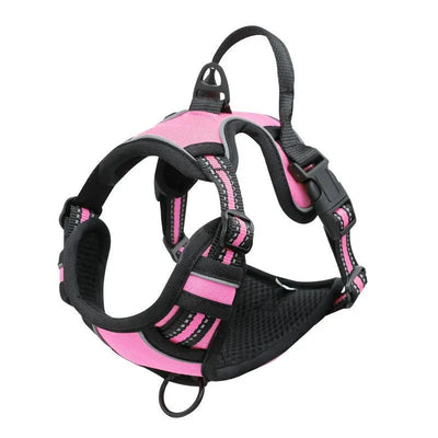 https://cdn.shopify.com/s/files/1/0647/9170/7830/files/harnais-anti-traction-pour-gros-chien-1989386.webp?v=1777924988