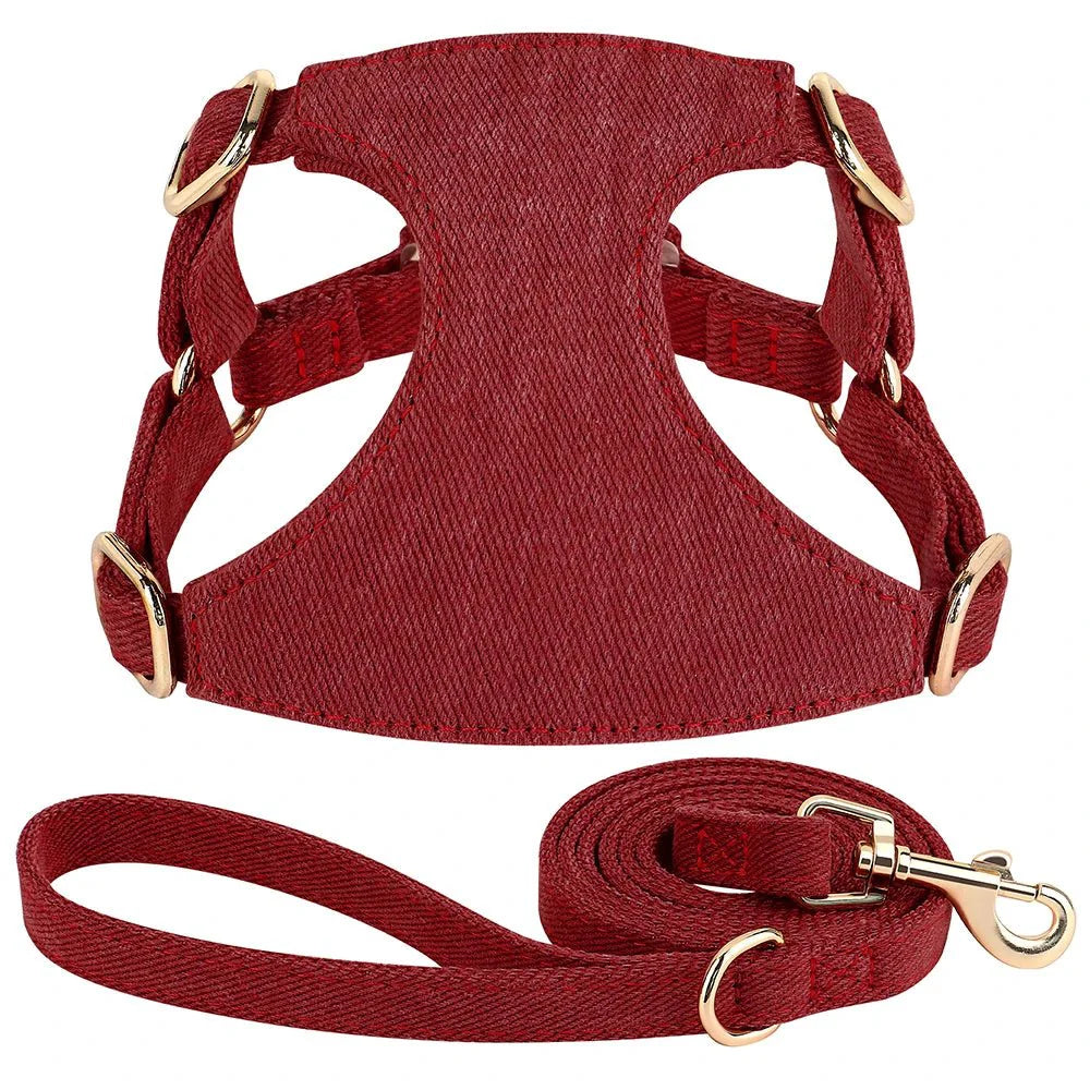 https://cdn.shopify.com/s/files/1/0647/9170/7830/files/harnais-avec-laisse-pour-chihuahua-6334414.webp?v=1777924634