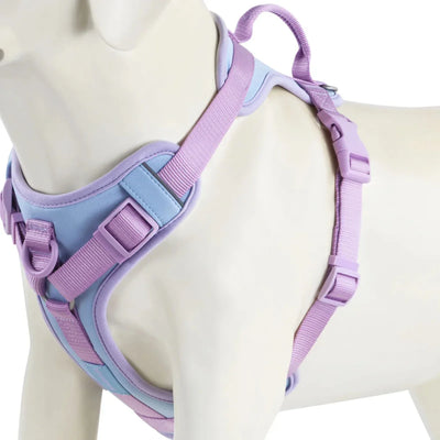 https://cdn.shopify.com/s/files/1/0647/9170/7830/files/harnais-avec-poignee-pour-gros-chien-1523081.webp?v=1777925053