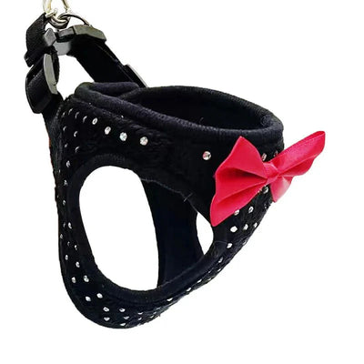https://cdn.shopify.com/s/files/1/0647/9170/7830/files/harnais-avec-poignee-pour-petit-chien-2892353.webp?v=1777925591