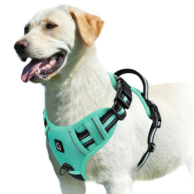 https://cdn.shopify.com/s/files/1/0647/9170/7830/files/harnais-bouclier-pour-gros-chien-1815330.webp?v=1777923976