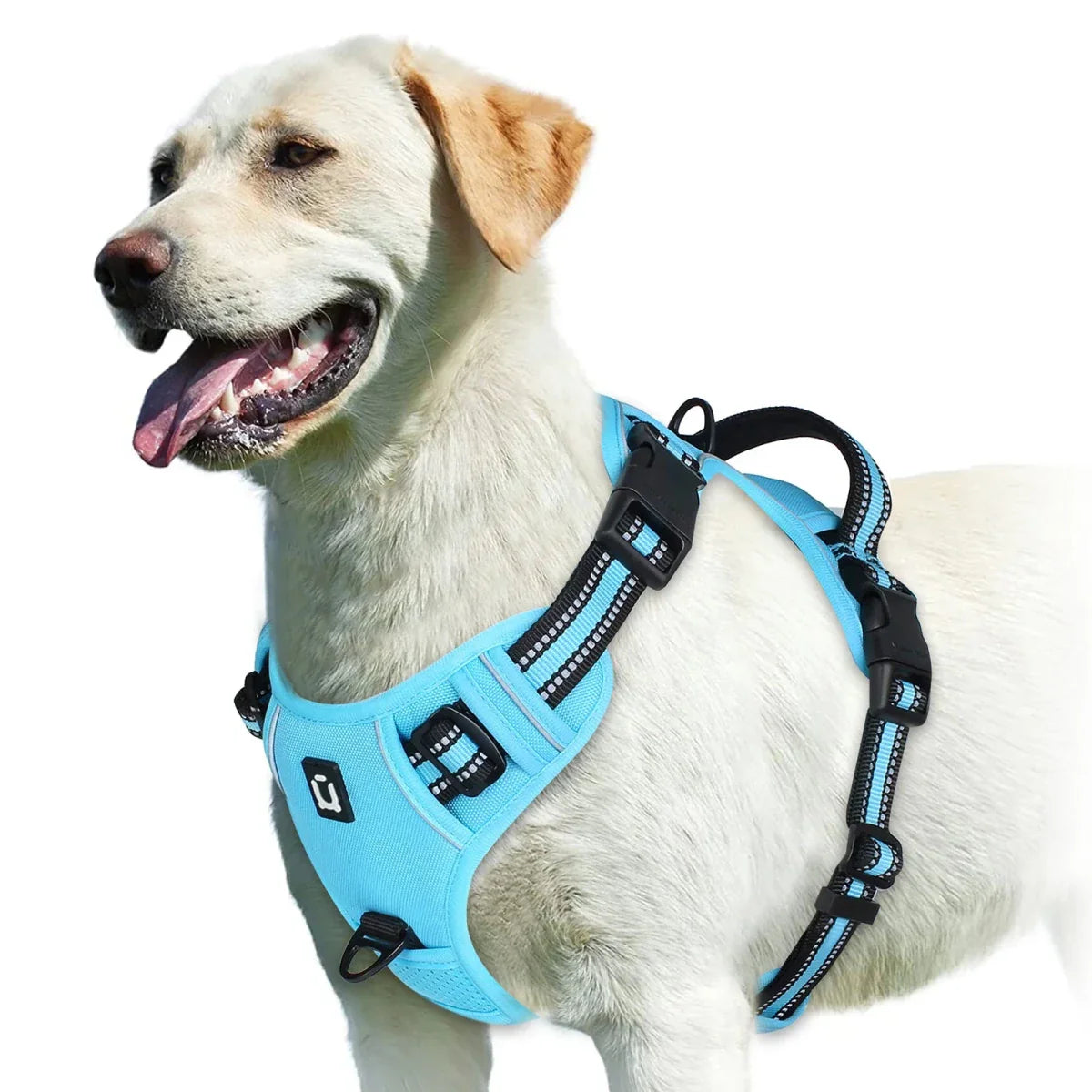 https://cdn.shopify.com/s/files/1/0647/9170/7830/files/harnais-bouclier-pour-gros-chien-3157411.webp?v=1777923978