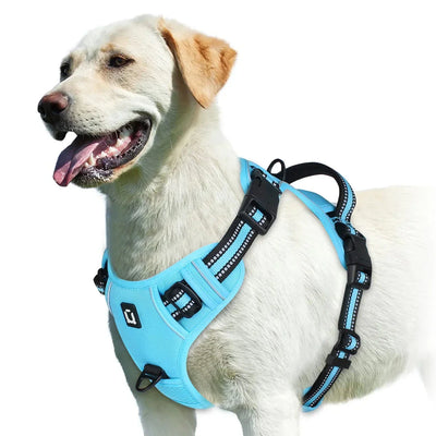 https://cdn.shopify.com/s/files/1/0647/9170/7830/files/harnais-bouclier-pour-gros-chien-3157411.webp?v=1777923978