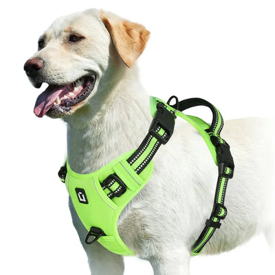 https://cdn.shopify.com/s/files/1/0647/9170/7830/files/harnais-bouclier-pour-gros-chien-5428489.webp?v=1777923977