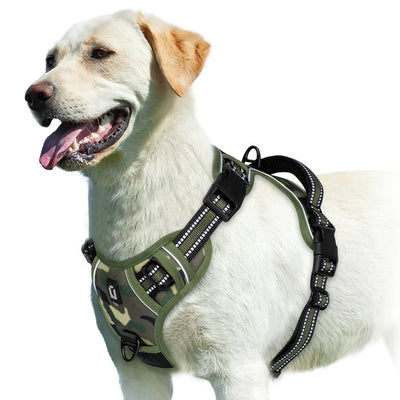 https://cdn.shopify.com/s/files/1/0647/9170/7830/files/harnais-bouclier-pour-gros-chien-5700090.webp?v=1777923977