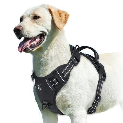 https://cdn.shopify.com/s/files/1/0647/9170/7830/files/harnais-bouclier-pour-gros-chien-8336606.webp?v=1777923977