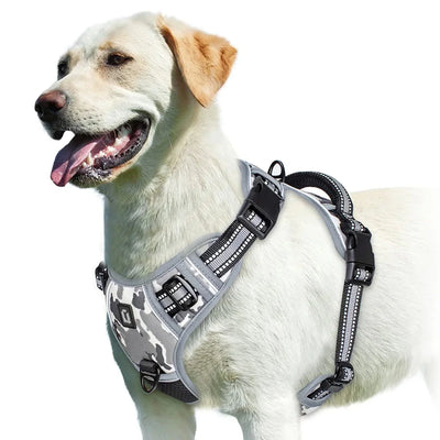 https://cdn.shopify.com/s/files/1/0647/9170/7830/files/harnais-bouclier-pour-gros-chien-8576101.webp?v=1777923978