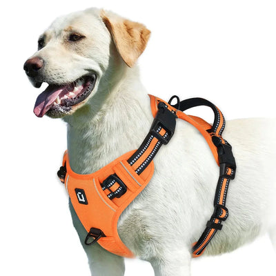 https://cdn.shopify.com/s/files/1/0647/9170/7830/files/harnais-bouclier-pour-gros-chien-8878392.webp?v=1777923976
