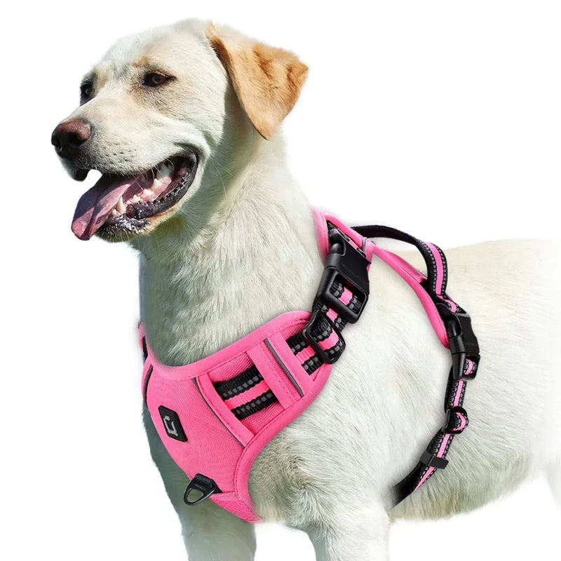 https://cdn.shopify.com/s/files/1/0647/9170/7830/files/harnais-bouclier-pour-gros-chien-3157411.webp?v=1777923978