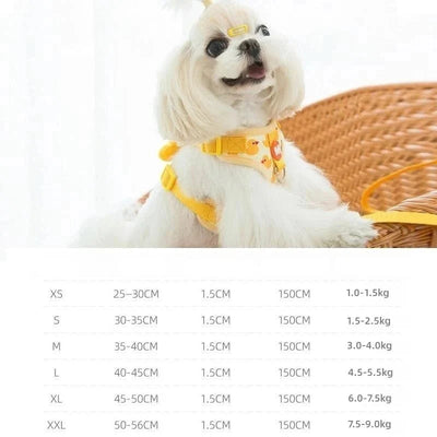 https://cdn.shopify.com/s/files/1/0647/9170/7830/files/harnais-canard-pour-chiot-1925889.webp?v=1777925526