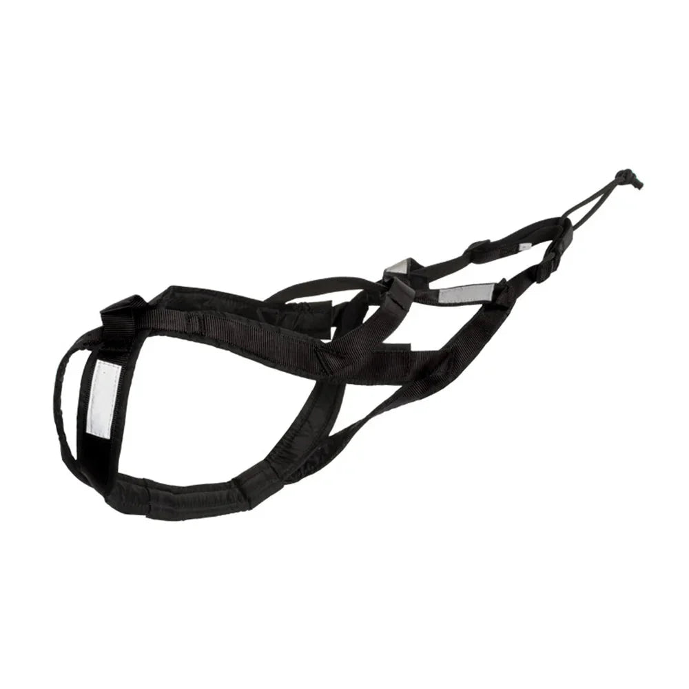 https://cdn.shopify.com/s/files/1/0647/9170/7830/files/harnais-canicross-beauceron-3572963.webp?v=1777923667