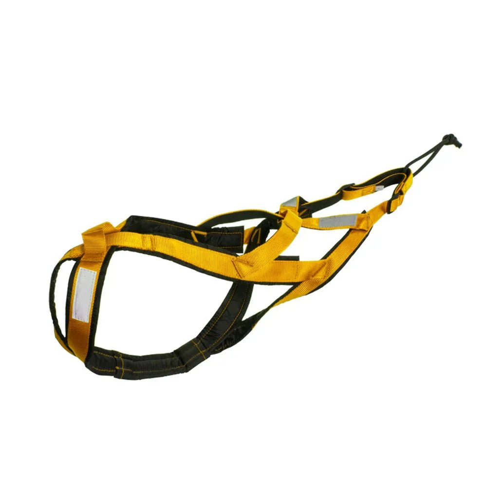 https://cdn.shopify.com/s/files/1/0647/9170/7830/files/harnais-canicross-berger-allemand-2970933.webp?v=1777924514