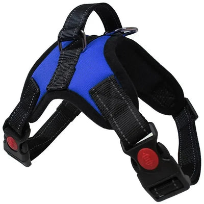 https://cdn.shopify.com/s/files/1/0647/9170/7830/files/harnais-canicross-border-collie-2548293.webp?v=1777923553