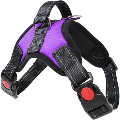 https://cdn.shopify.com/s/files/1/0647/9170/7830/files/harnais-canicross-border-collie-6506739.webp?v=1777923552