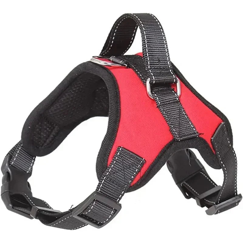 https://cdn.shopify.com/s/files/1/0647/9170/7830/files/harnais-canicross-border-collie-7138877.webp?v=1777923553