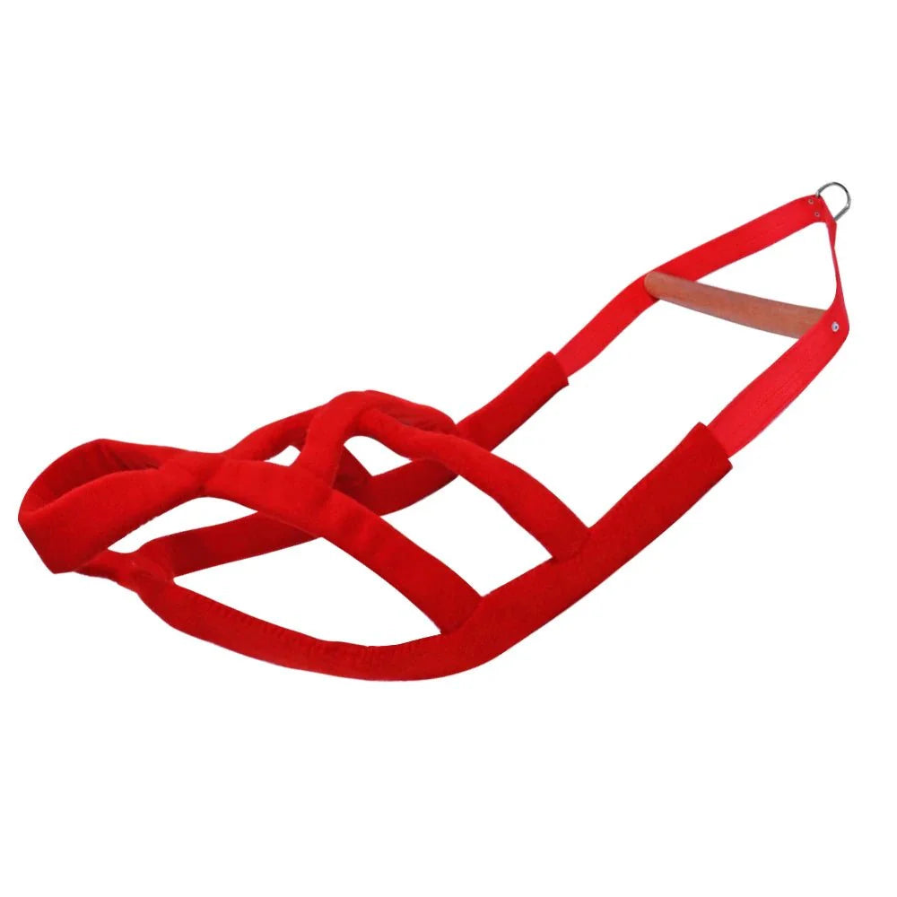 https://cdn.shopify.com/s/files/1/0647/9170/7830/files/harnais-canicross-boxer-rouge-5473569.webp?v=1777923850