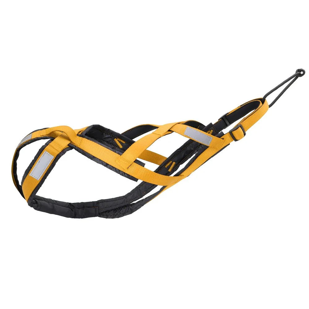 https://cdn.shopify.com/s/files/1/0647/9170/7830/files/harnais-canicross-gros-chien-4260459.webp?v=1777924391