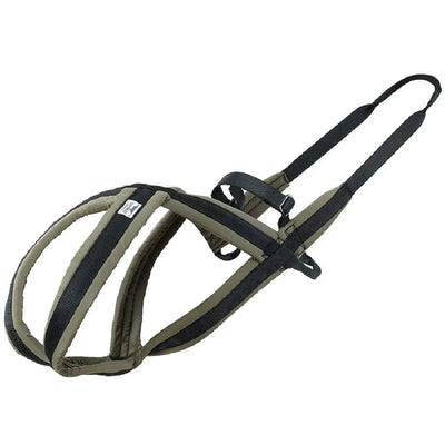 https://cdn.shopify.com/s/files/1/0647/9170/7830/files/harnais-canicross-pas-cher-8602038.webp?v=1777924148
