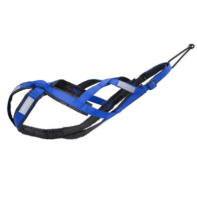 https://cdn.shopify.com/s/files/1/0647/9170/7830/files/harnais-canicross-waterproof-bleu-4175036.webp?v=1777924507