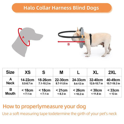 https://cdn.shopify.com/s/files/1/0647/9170/7830/files/harnais-chien-aveugle-2430136.webp?v=1777923196