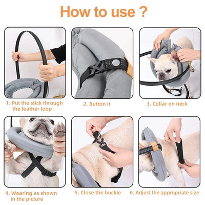 https://cdn.shopify.com/s/files/1/0647/9170/7830/files/harnais-chien-aveugle-4813174.webp?v=1777923195
