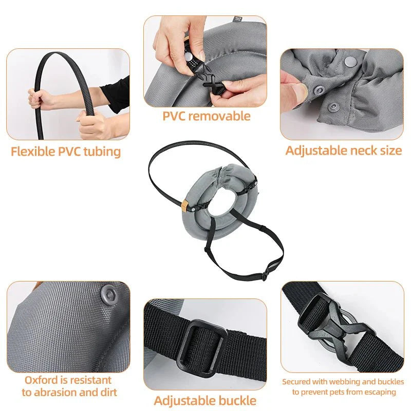 https://cdn.shopify.com/s/files/1/0647/9170/7830/files/harnais-chien-aveugle-1663584.webp?v=1777923195