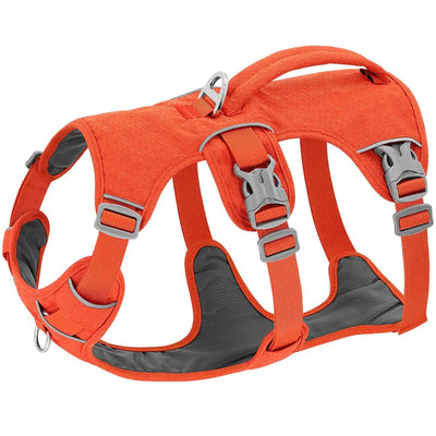 https://cdn.shopify.com/s/files/1/0647/9170/7830/files/harnais-chien-avis-veterinaire-2300494.webp?v=1777923310