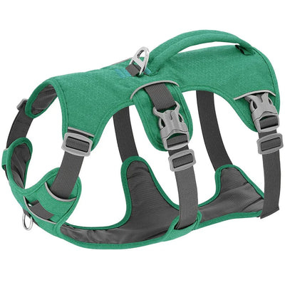 https://cdn.shopify.com/s/files/1/0647/9170/7830/files/harnais-chien-avis-veterinaire-4097826.webp?v=1777923311