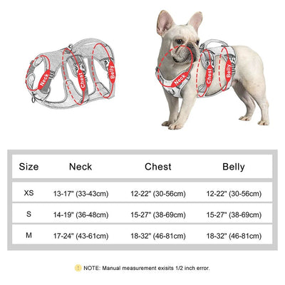 https://cdn.shopify.com/s/files/1/0647/9170/7830/files/harnais-chien-avis-veterinaire-5428163.webp?v=1777923311