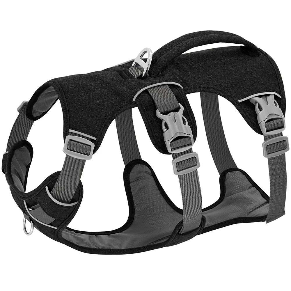 https://cdn.shopify.com/s/files/1/0647/9170/7830/files/harnais-chien-avis-veterinaire-5887209.webp?v=1777923311