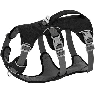 https://cdn.shopify.com/s/files/1/0647/9170/7830/files/harnais-chien-avis-veterinaire-5887209.webp?v=1777923311