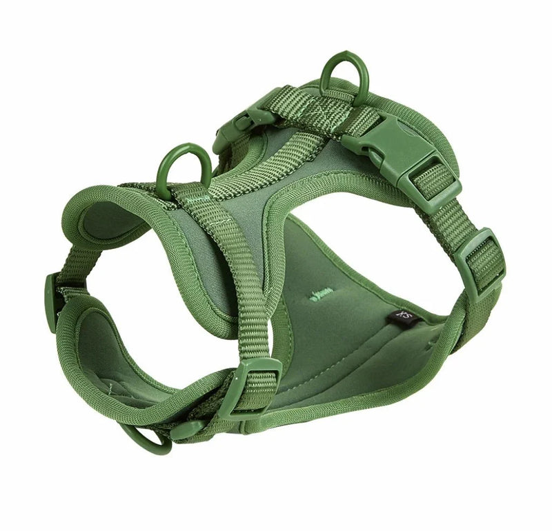 https://cdn.shopify.com/s/files/1/0647/9170/7830/files/harnais-chien-biothane-8261977.webp?v=1777923135